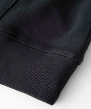 Load image into Gallery viewer, XLARGE x D*FACE STRIPE SKULL RENDER PULLOVER HOODED SWEAT