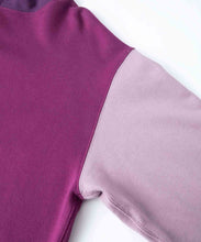 Load image into Gallery viewer, COLOR BLOCK PULLOVER HOODED SWEAT