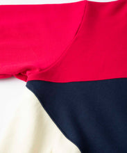 Load image into Gallery viewer, PANELED HALF ZIP HOODED SWEAT