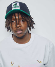 Load image into Gallery viewer, NEWERA 2TONE WALKING APE SNAPBACK CAP
