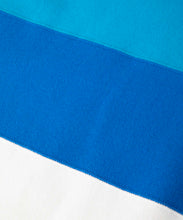 Load image into Gallery viewer, PANELED CREWNECK SWEAT
