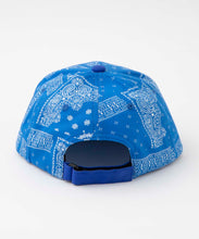 Load image into Gallery viewer, PAISLEY 6 PANEL CAP
