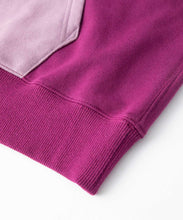 Load image into Gallery viewer, COLOR BLOCK PULLOVER HOODED SWEAT
