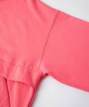 Load image into Gallery viewer, EMBROIDERY LOGO HALF ZIP HOODED SWEAT
