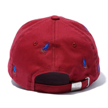 Load image into Gallery viewer, ALLOVER EMBROIDERY CAP
