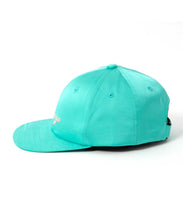 Load image into Gallery viewer, GALLIGRAPHY SATIN 6PANEL CAP
