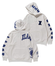 Load image into Gallery viewer, RANDOM PRINT COLLEGE LOGO PULLOVER HOODED SWEAT
