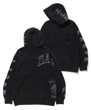 Load image into Gallery viewer, RANDOM PRINT COLLEGE LOGO PULLOVER HOODED SWEAT
